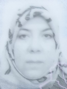 ميسون محمد حسن