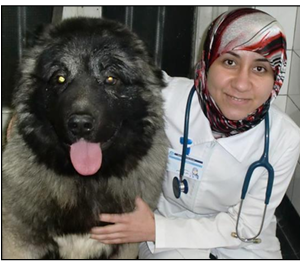 نقاء صالح مهدي