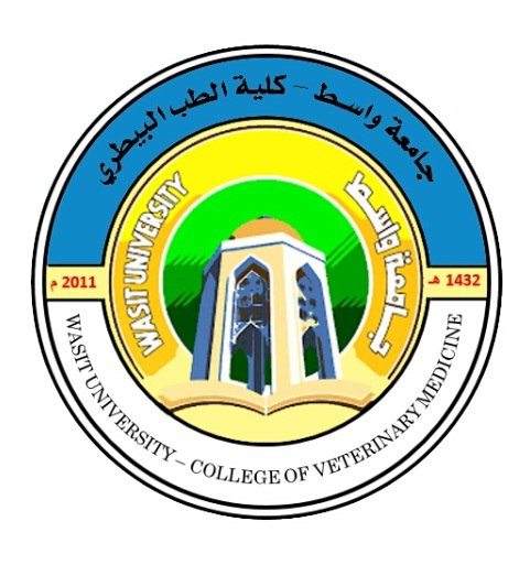 ياس عبد الخضر دهيم